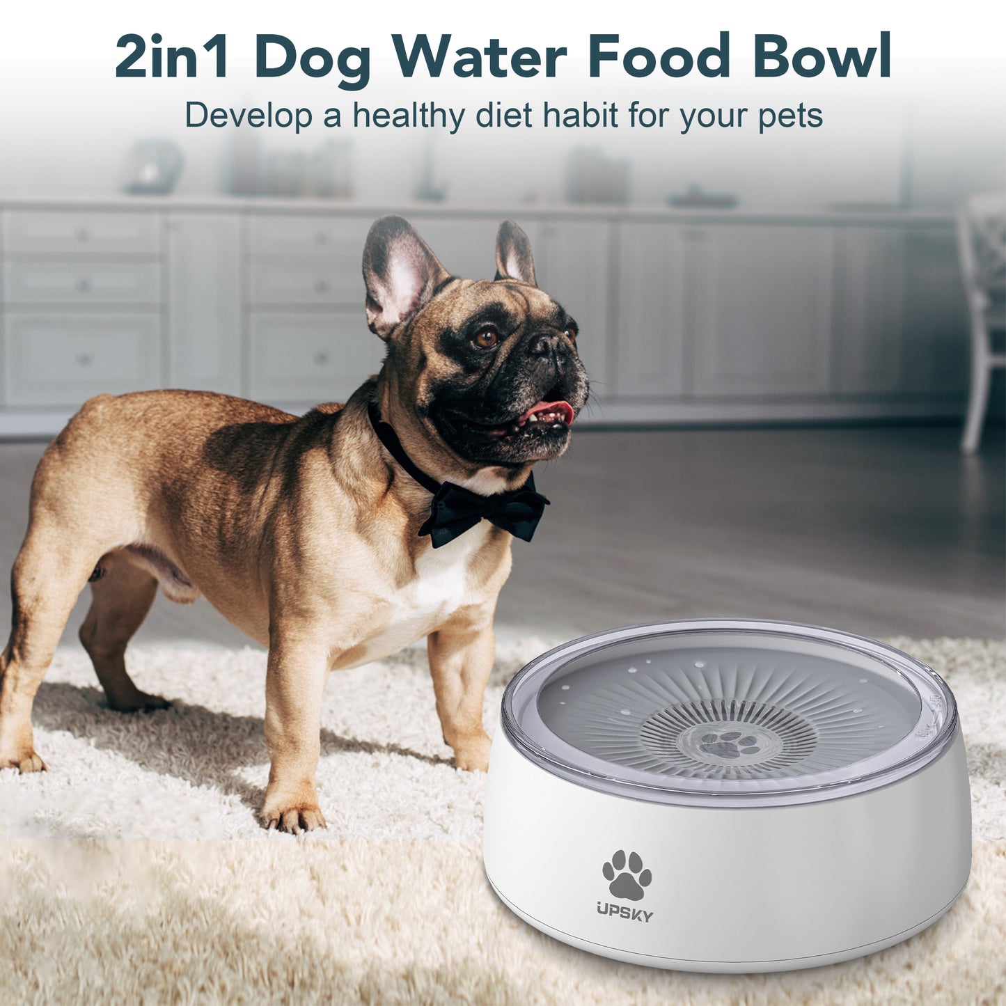UPSKY No Spill Splash Proof Non-Skid Plastic Slow Feeder Mat Dog & Cat Bowl, Grey, Large: 3-L
