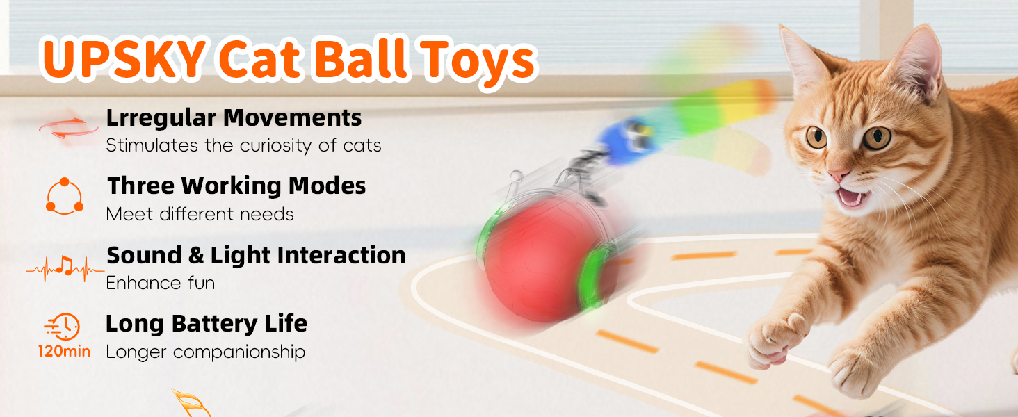 Pet Toys
