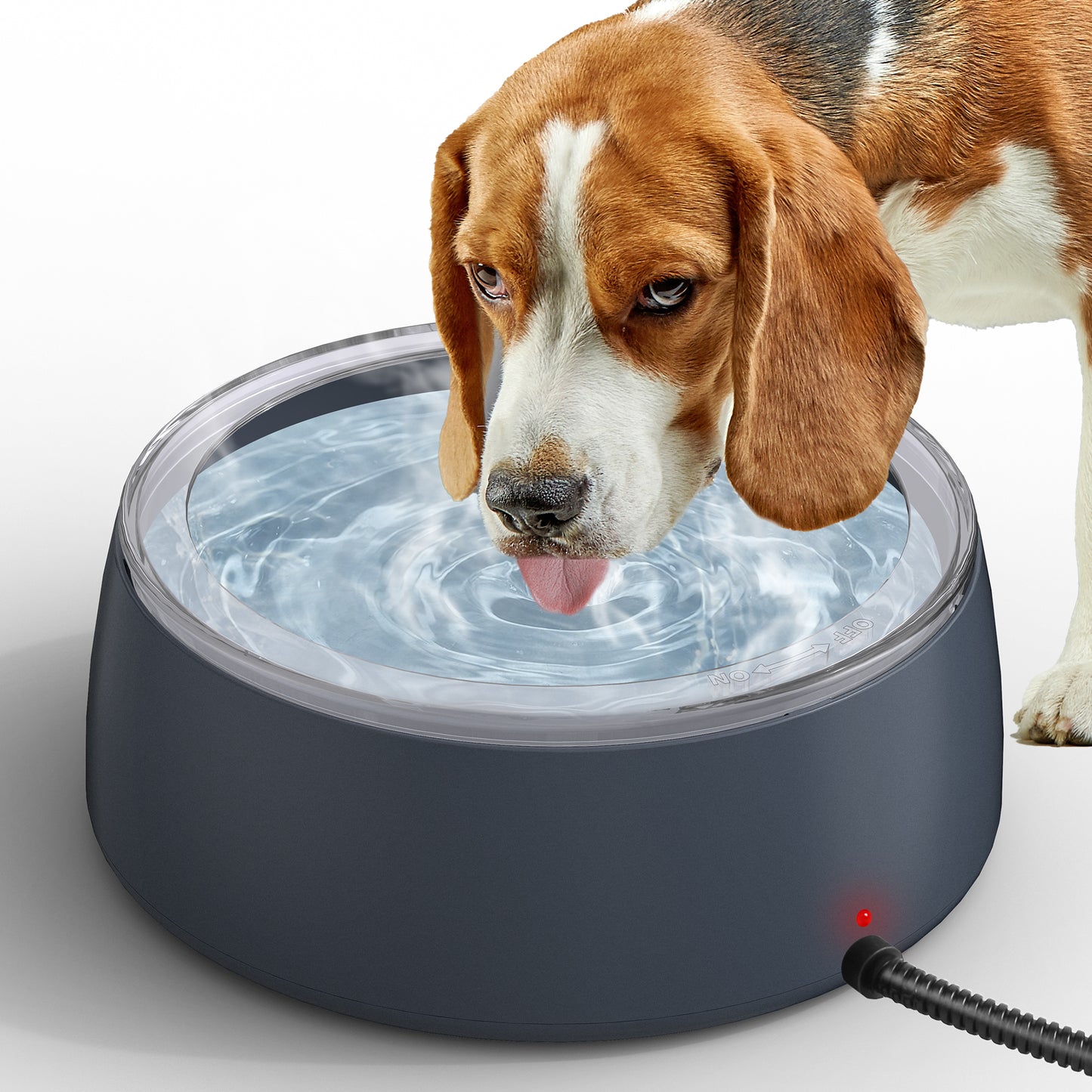 3L Heated Water Bowl, Outdoor Heated Water Bowl, Suitable for Dogs and Cats, Waterproof Outdoor Heated Water Dish, Comes with Chew-Resistant Rope, Smart Heated Pet Bowl