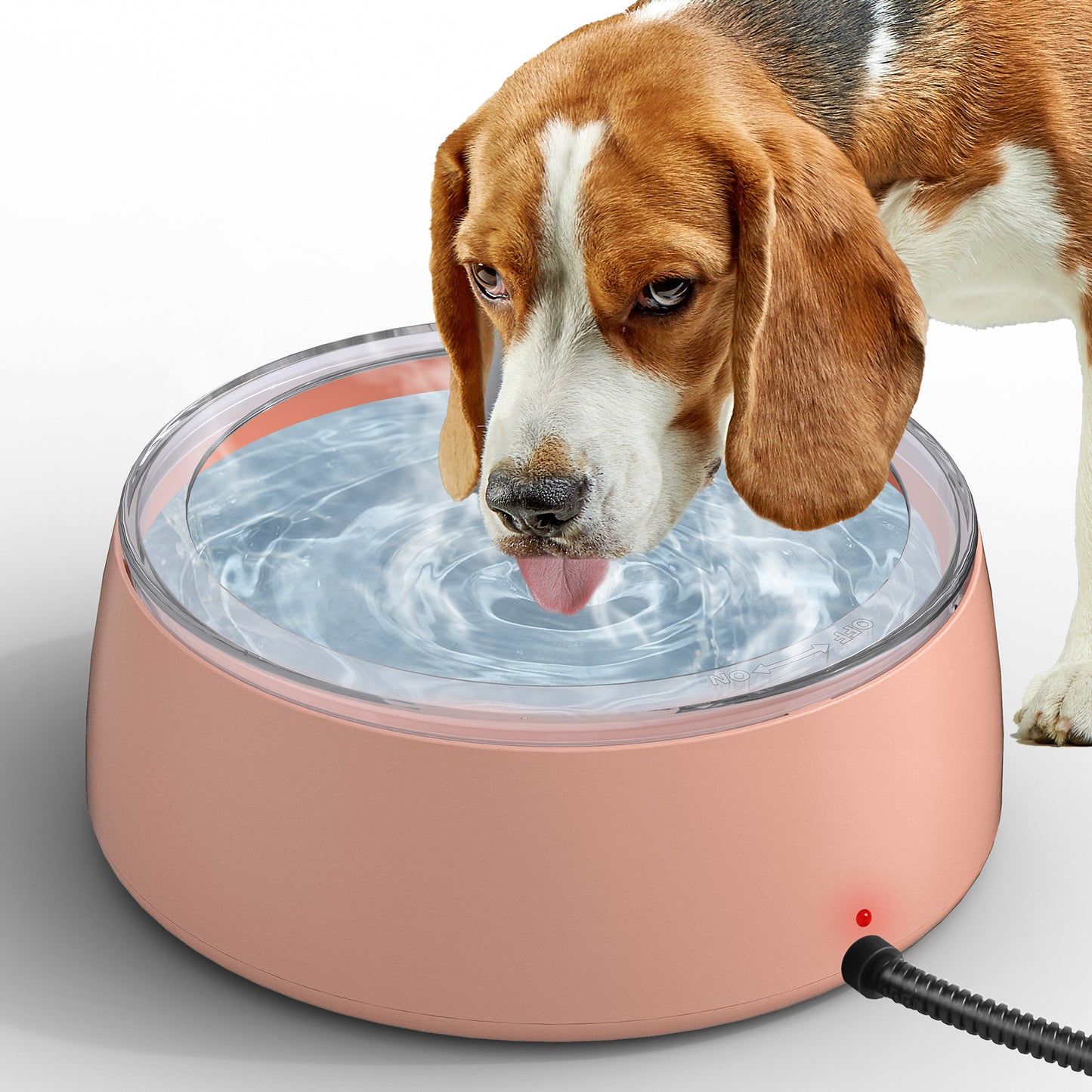3L Heated Water Bowl, Outdoor Heated Water Bowl, Suitable for Dogs and Cats, Waterproof Outdoor Heated Water Dish, Comes with Chew-Resistant Rope, Smart Heated Pet Bowl