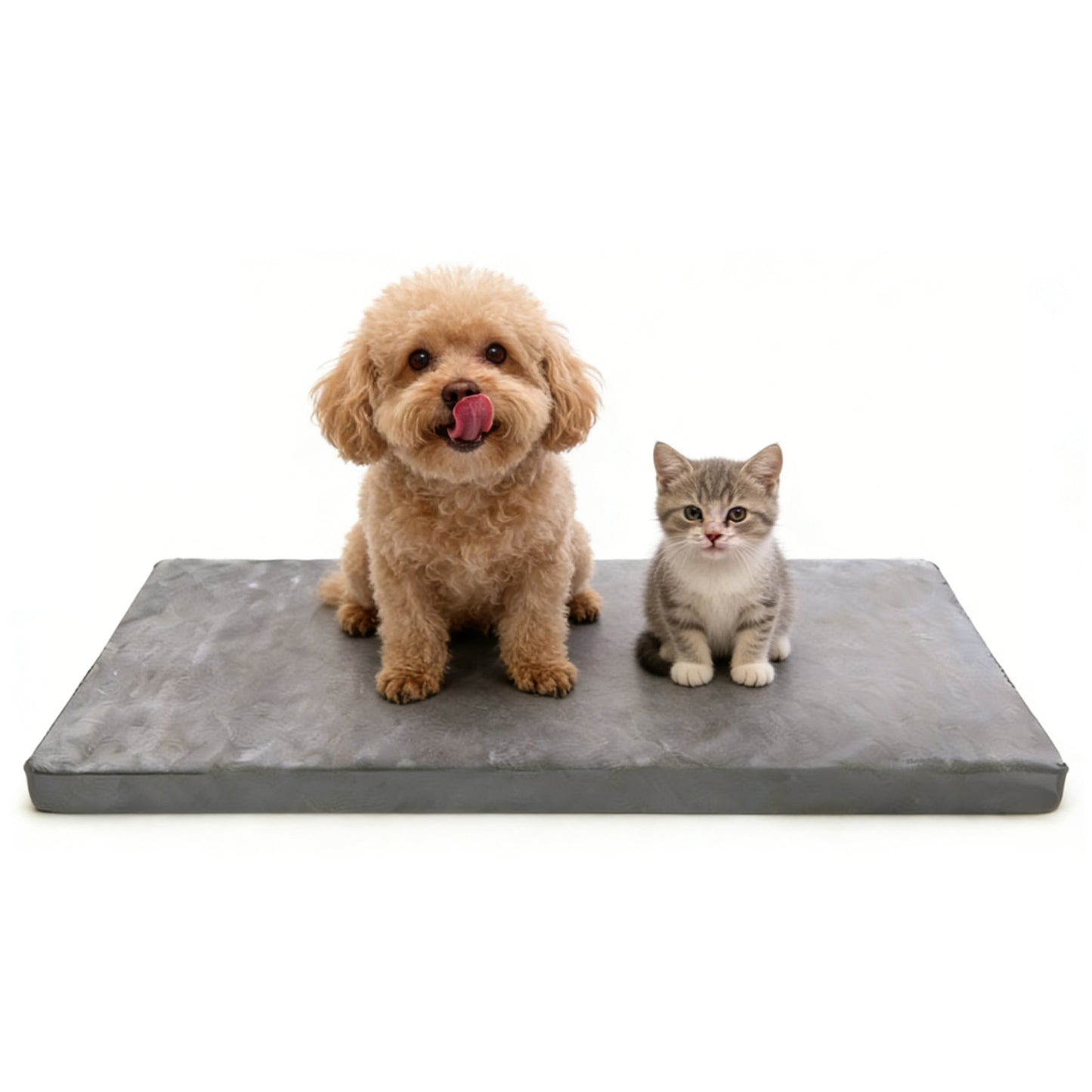 Decflow 23-in Dual-Sided Waterproof Dog Bed with Hidden Zipper & Removable Washable Cover Pet Pad Mat, Gray