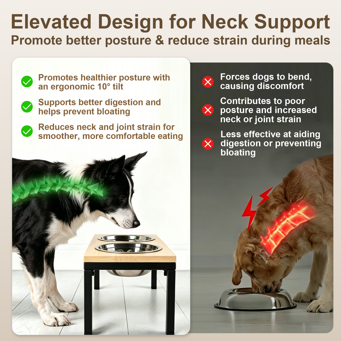 Newget Neck Support Food & Water Stainless Steel Dog & Cat Elevated Double Bowl Feeder with Stand, Medium