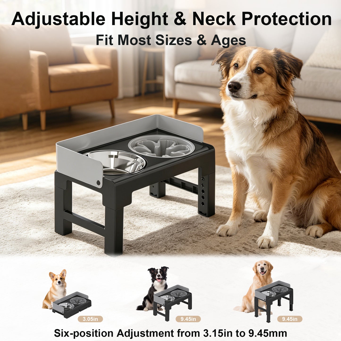 Newget Adjustable Height Raised Elevated Acrylic Dog Bowl, Medium