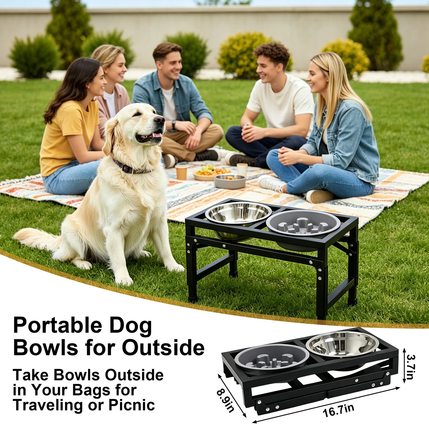 Newget 3-Speed Height Adjustable Raised Elevated Stainless Steel Dog Bowl, Medium
