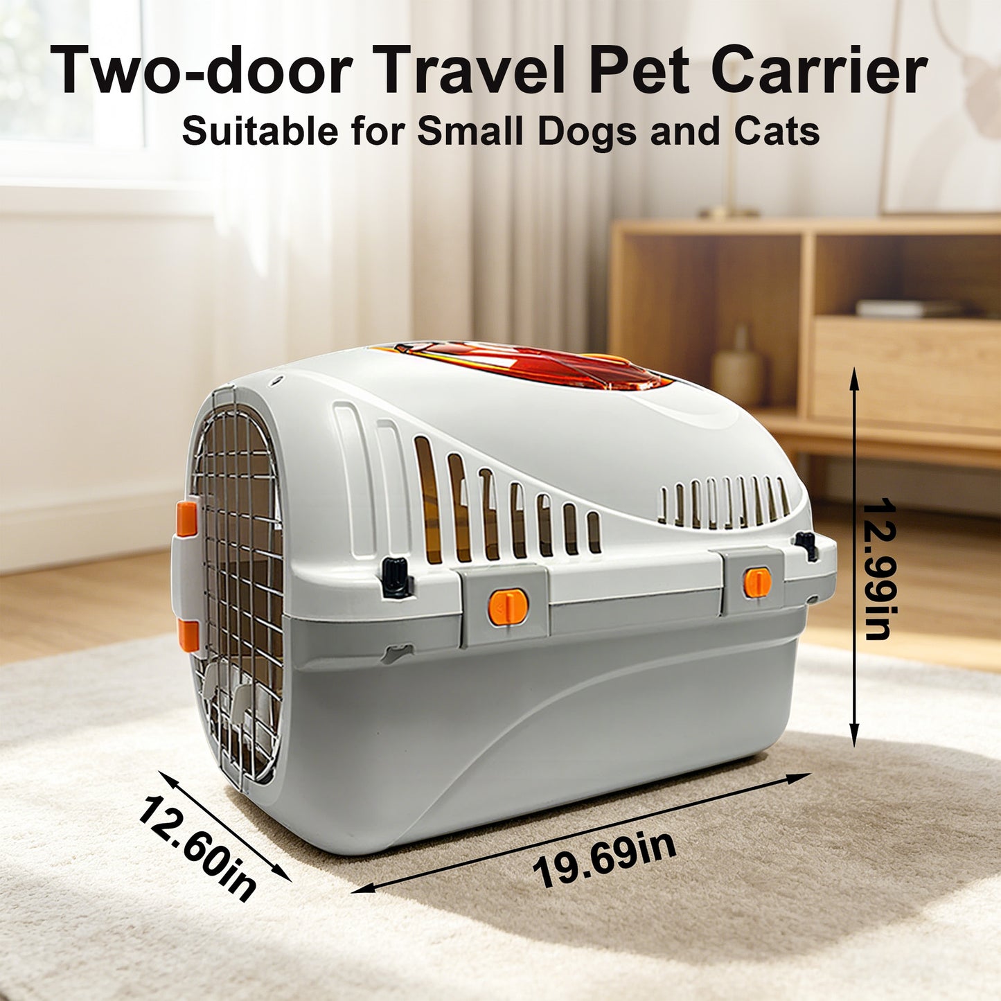 Twinsing Ventilated Design Detachable Carry Handle Bag Dog & Cat Carrier with Metal Doors, Gray, Large