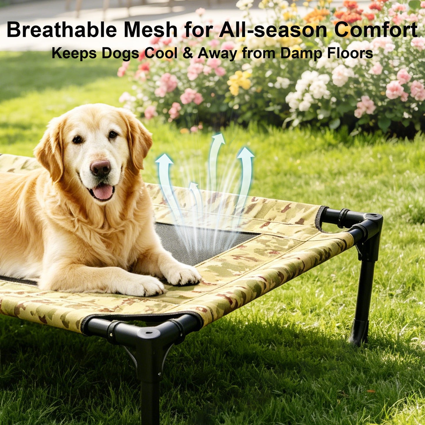 Twinsing Metal Frame Raised Cot Elevated Dog & Cat Bed with Breathable Mesh