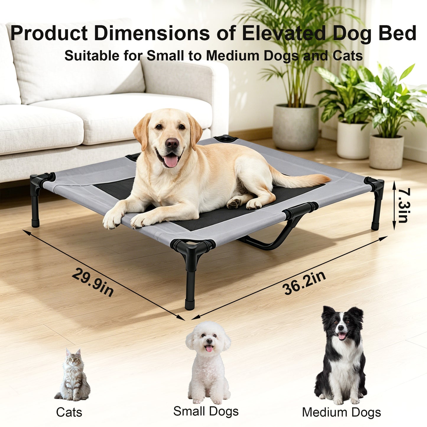 Twinsing Raised Cot Elevated Cooling Dog & Cat Bed with Breathable Mesh & Portable Collapsible Hammock, Grey