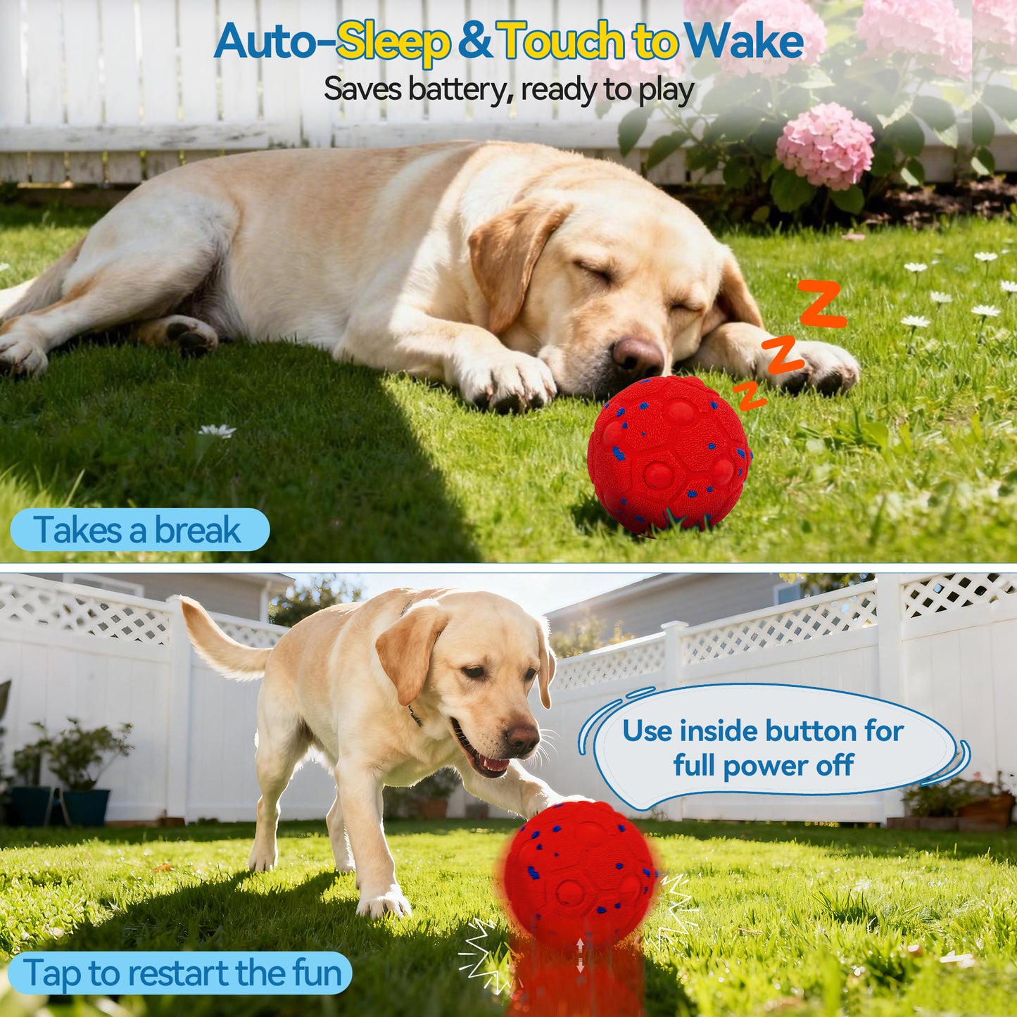 Newget Automatic Chew-Resistant Interactive Ball Dog Toy with Remote, Red