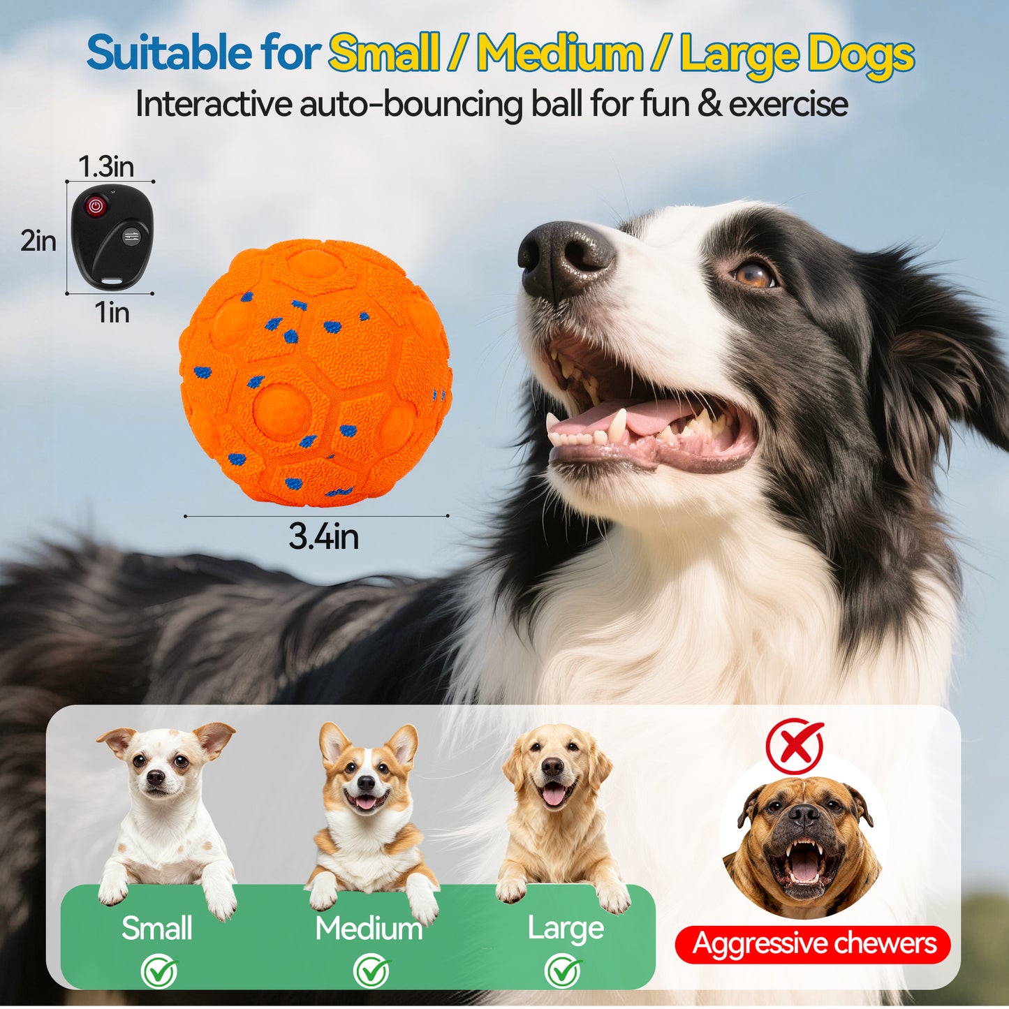 Newget Automatic Chew-Resistant Interactive Ball Dog Toy with Remote, Orange