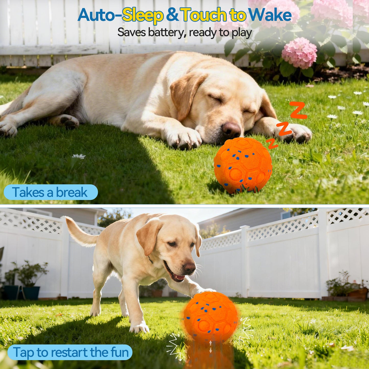 Newget Automatic Chew-Resistant Interactive Ball Dog Toy with Remote, Orange