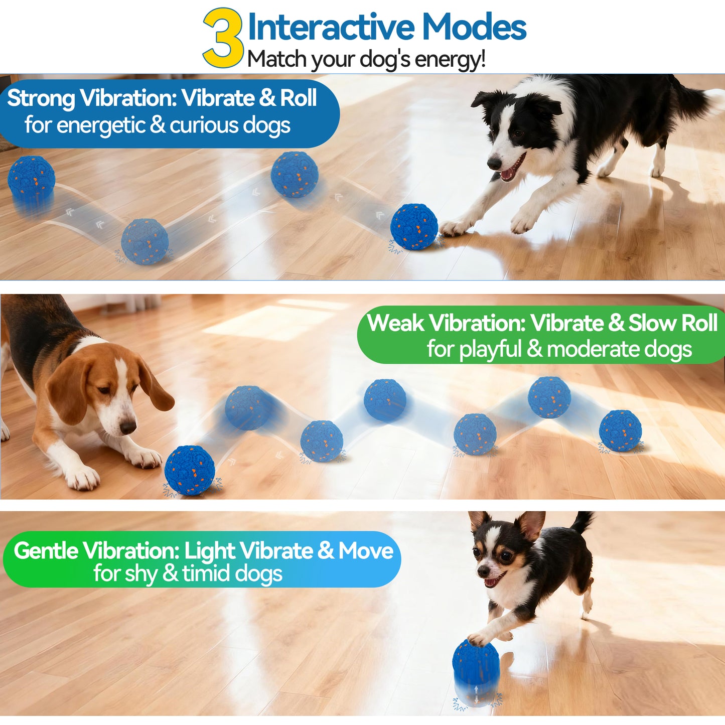 Newget Automatic Chew-Resistant Interactive Ball Dog Toy with Remote, Blue