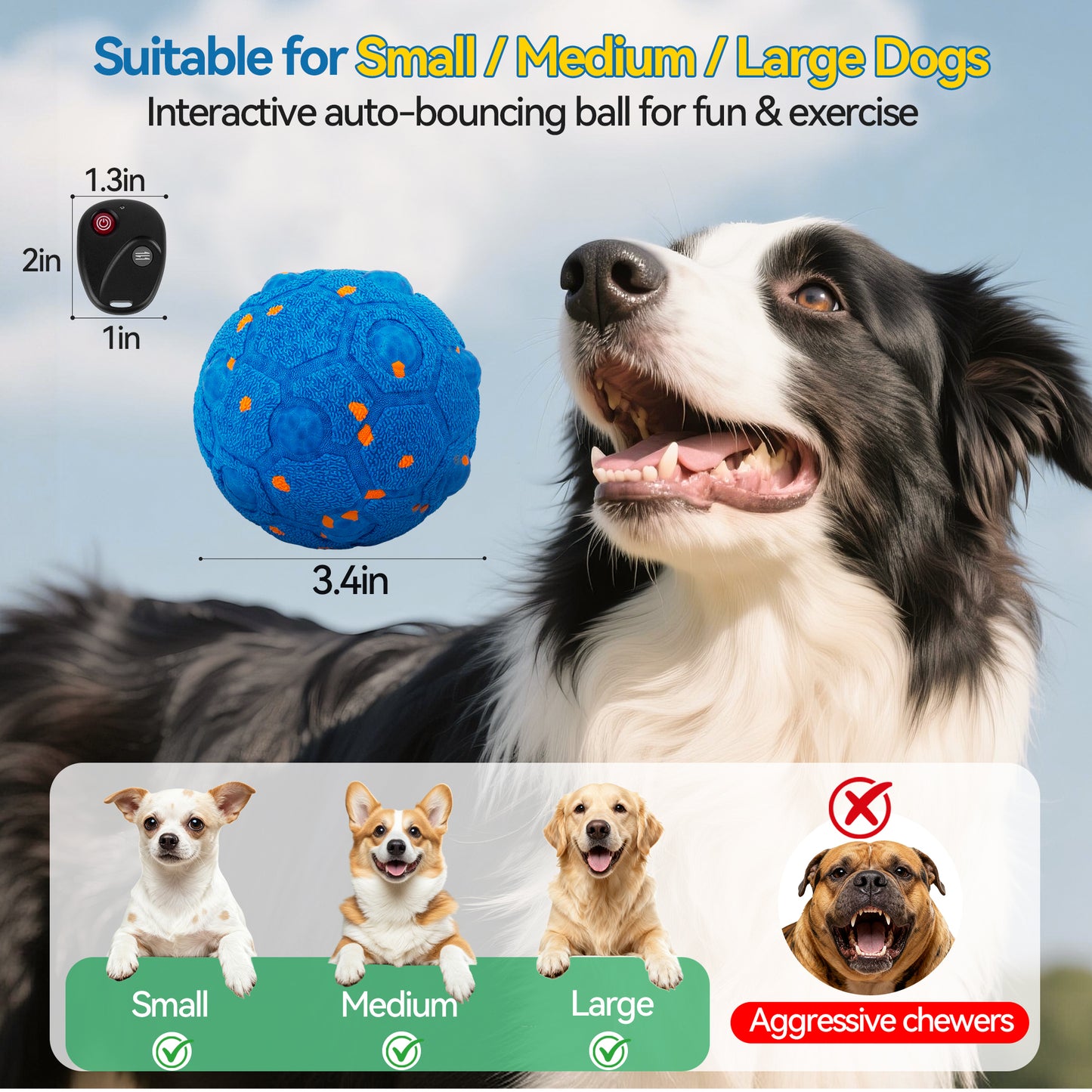 Newget Automatic Chew-Resistant Interactive Ball Dog Toy with Remote, Blue
