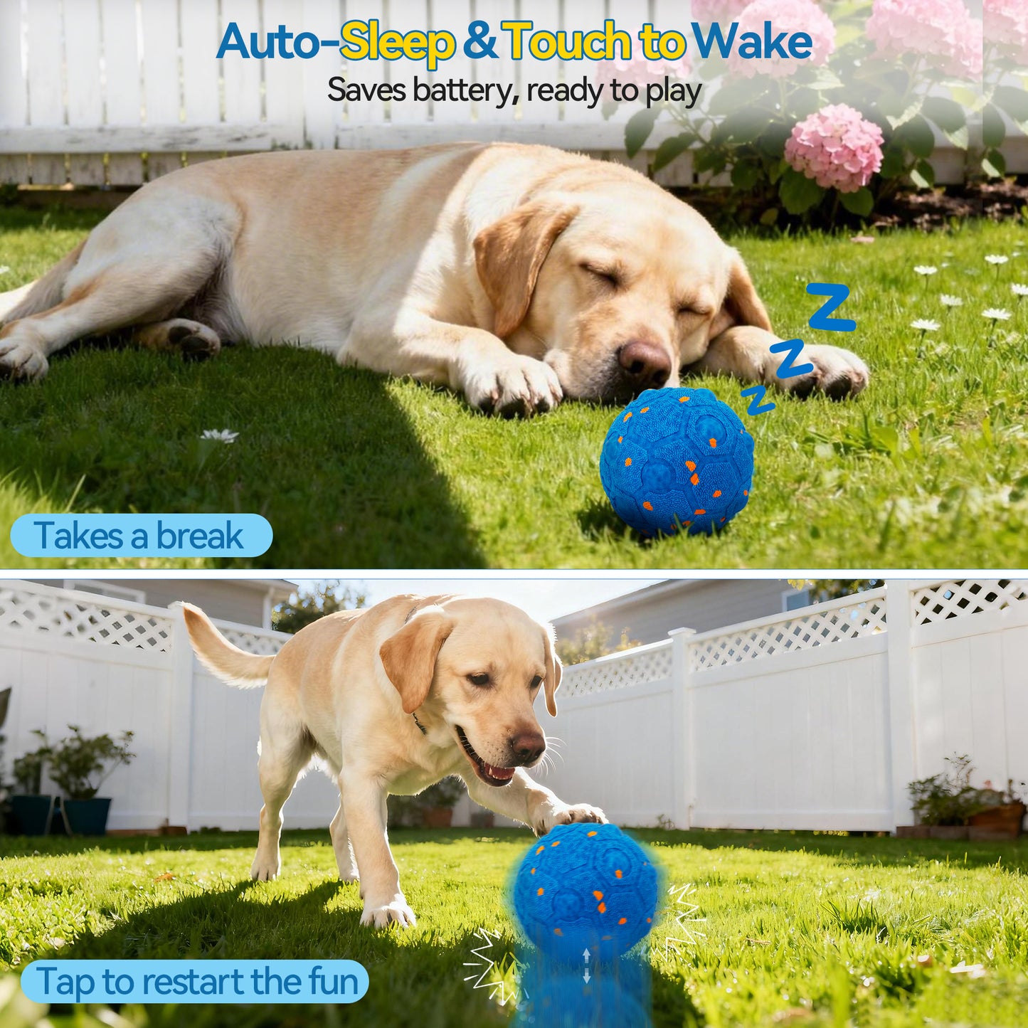 Newget Automatic Chew-Resistant Interactive Ball Dog Toy with Remote, Blue