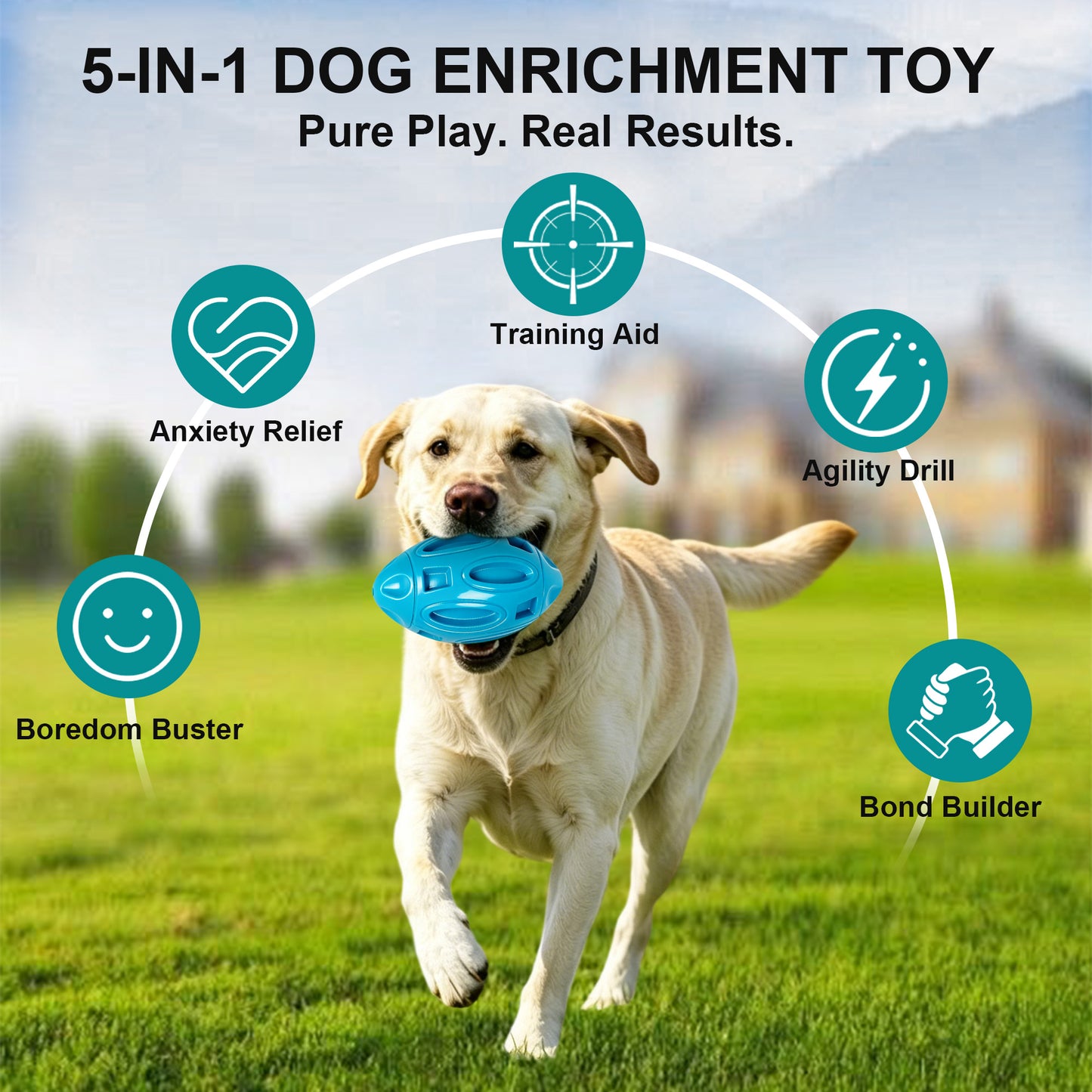 Newget Natural Rubber Ball Squeaky Dog Toy with Built-in Squeaker, Blue