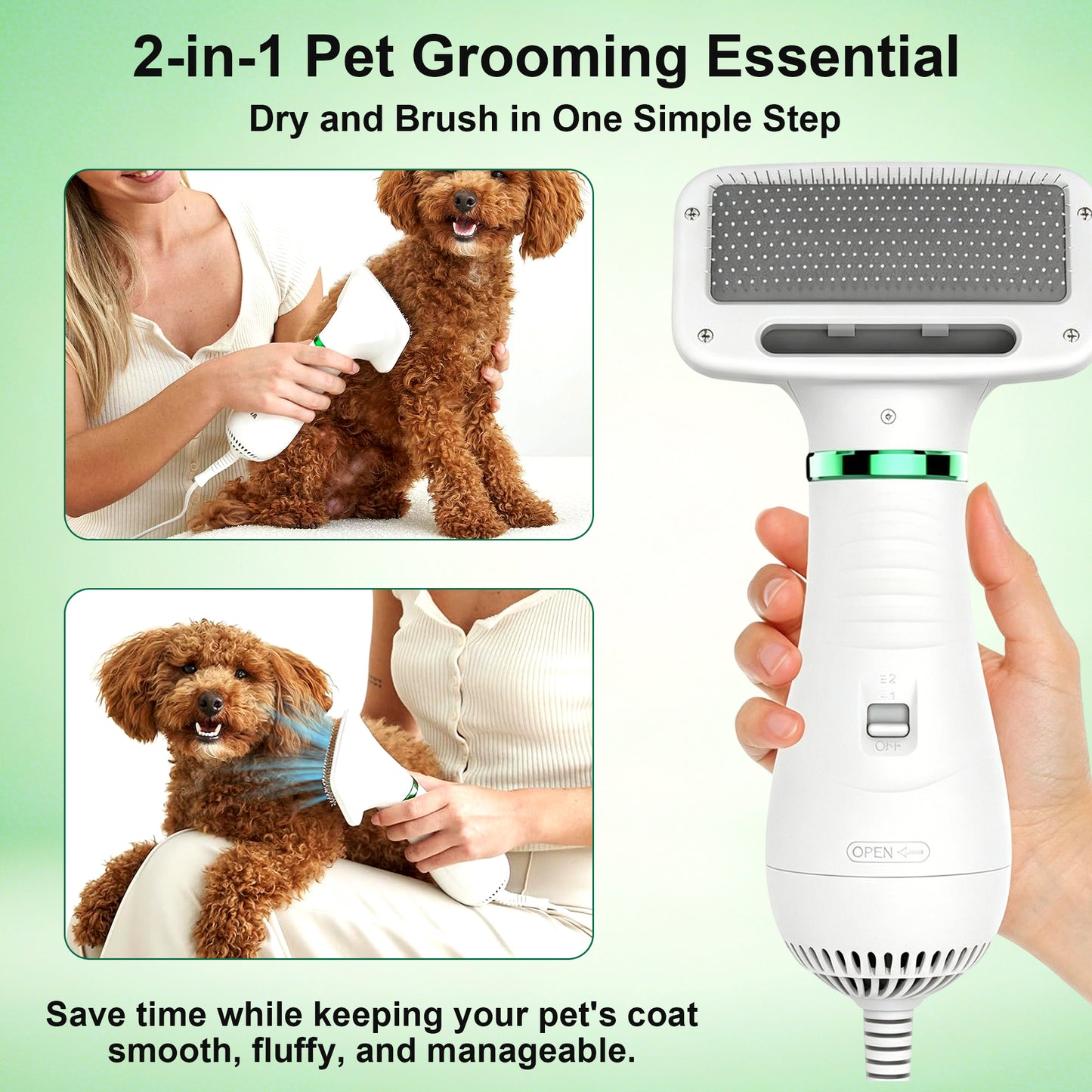 Newget 2-in-1 Constant Temperature Grooming Tool Dog & Cat Hair Dryer & Comb with Adjustable Wind, Temperature Gears, Detachable Anti-Tangle Grooming Brush & Lightweight Home Grooming Accessory