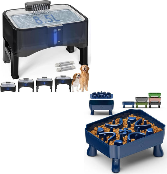 UPSKY Slow Feeder Dog Bowl，2.25Gal Elevated Dogs Water Fountain, 4 Heights Adjustable Pet Fountain for All Dog Sizes