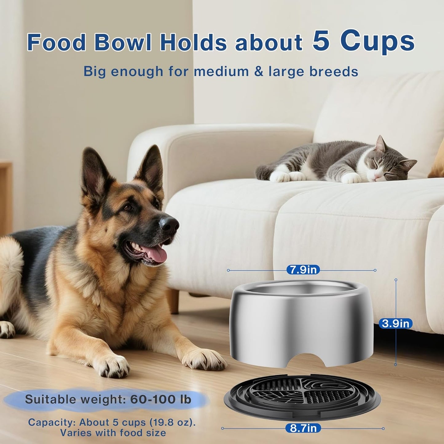 304 Stainless Steel Dog Bowls, Heavy Duty Dog and Cat Food Bowls with Extra Strong Non-Slip Mat, Thick Metal Base Water Bowl with Lick Mat for Cats and Small Dogs, Indoor/Outdoor (8.5 oz)